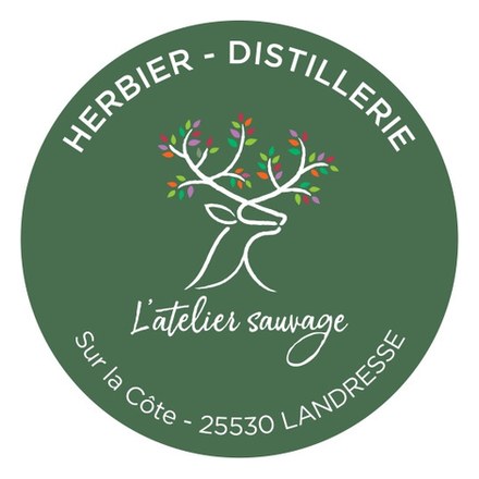 L'Atelier Sauvage, herbier et distillerie