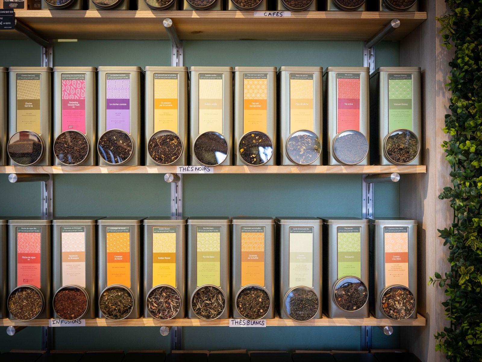 Le mur de thés et d'infusions en boîtes, avec leurs étiquettes colorées